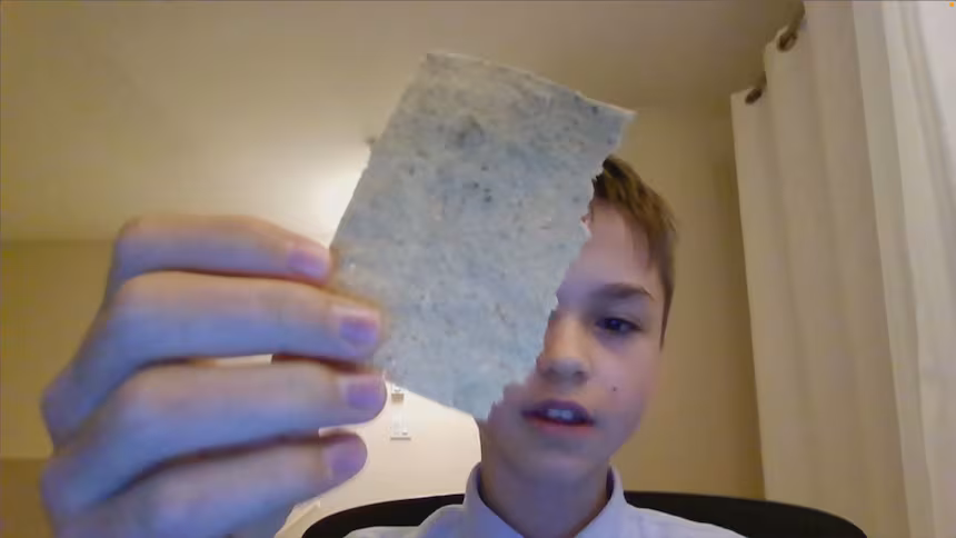 CBC News – B.C. teens turn invasive berries, food waste into paper in prestigious youth science fair